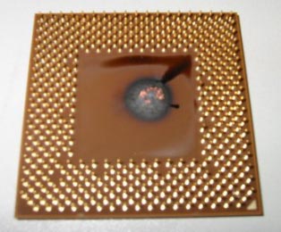 Durch Hitze zerstörte Athlon-CPU (Unterseite)